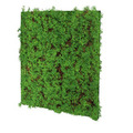 Jangal Modular Wall plantepanel 52 x 52 cm - Thuja